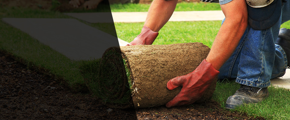 North Conway Landscapers